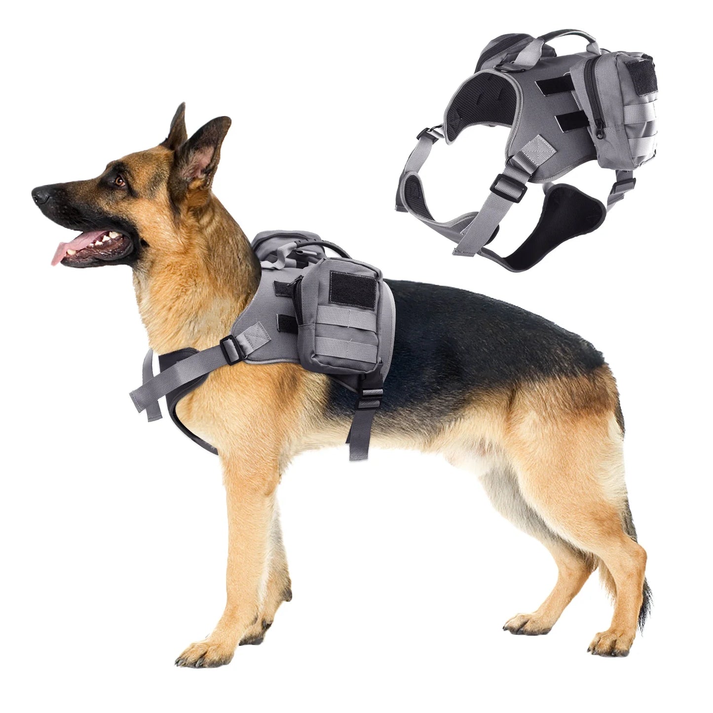 Tactical Dog Harness & Leash Set ππ‘οΈ