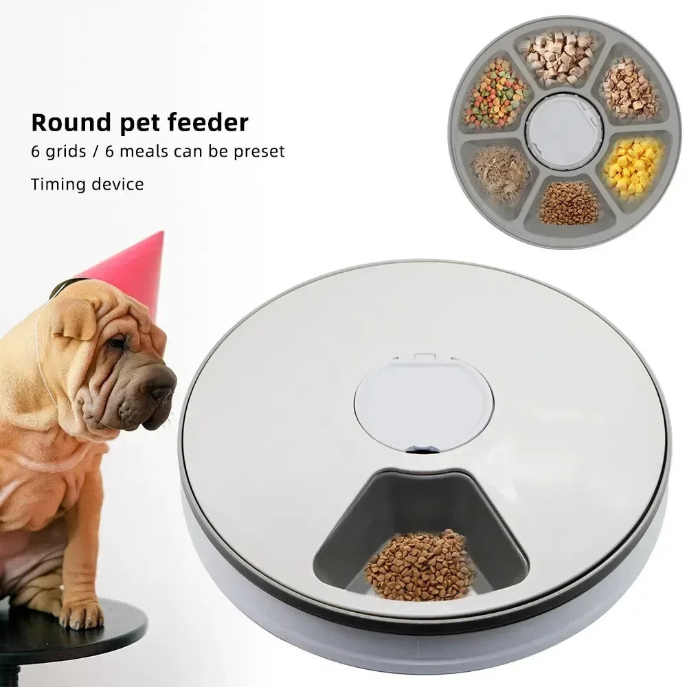 24H Automatic Pet Feeder 🐶🐱⏰