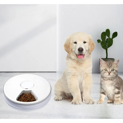 24H Automatic Pet Feeder 🐶🐱⏰