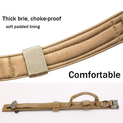 Tactical Nylon Dog Collar & Muzzle 🐕🛡️ k