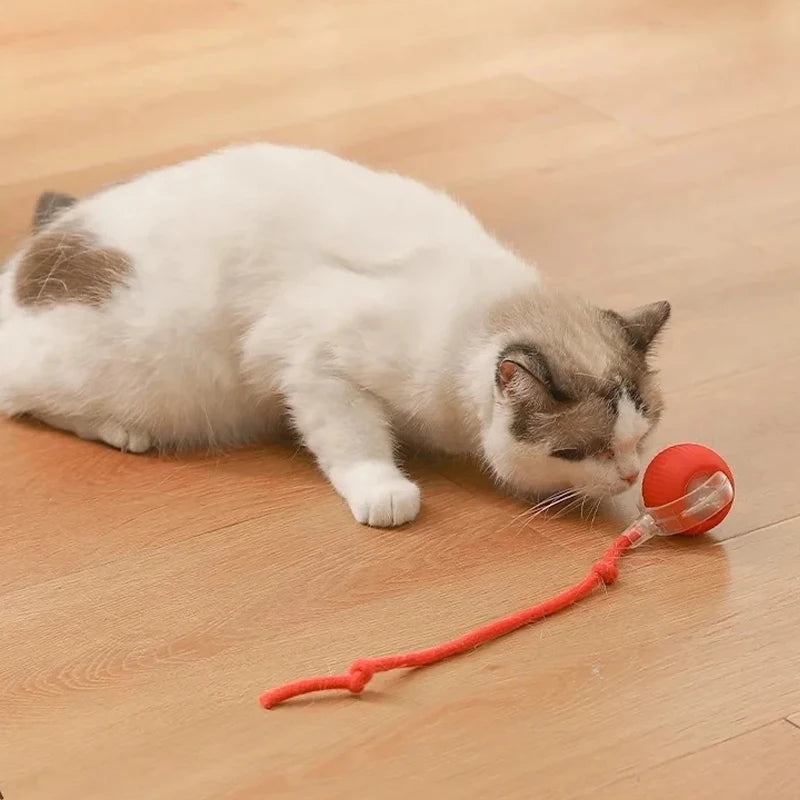 Smart Interactive Cat Ball Toy