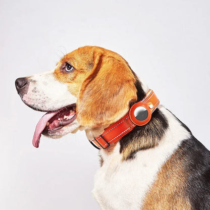 Waterproof GPS Dog Collar with AirTag Holder 🐕📍
