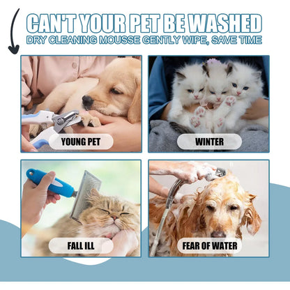 Pet Dry Shampoo Foam 🐶🐱🧴