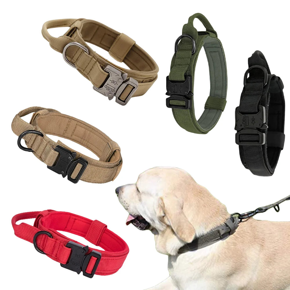Tactical Nylon Dog Collar & Muzzle 🐕🛡️ k
