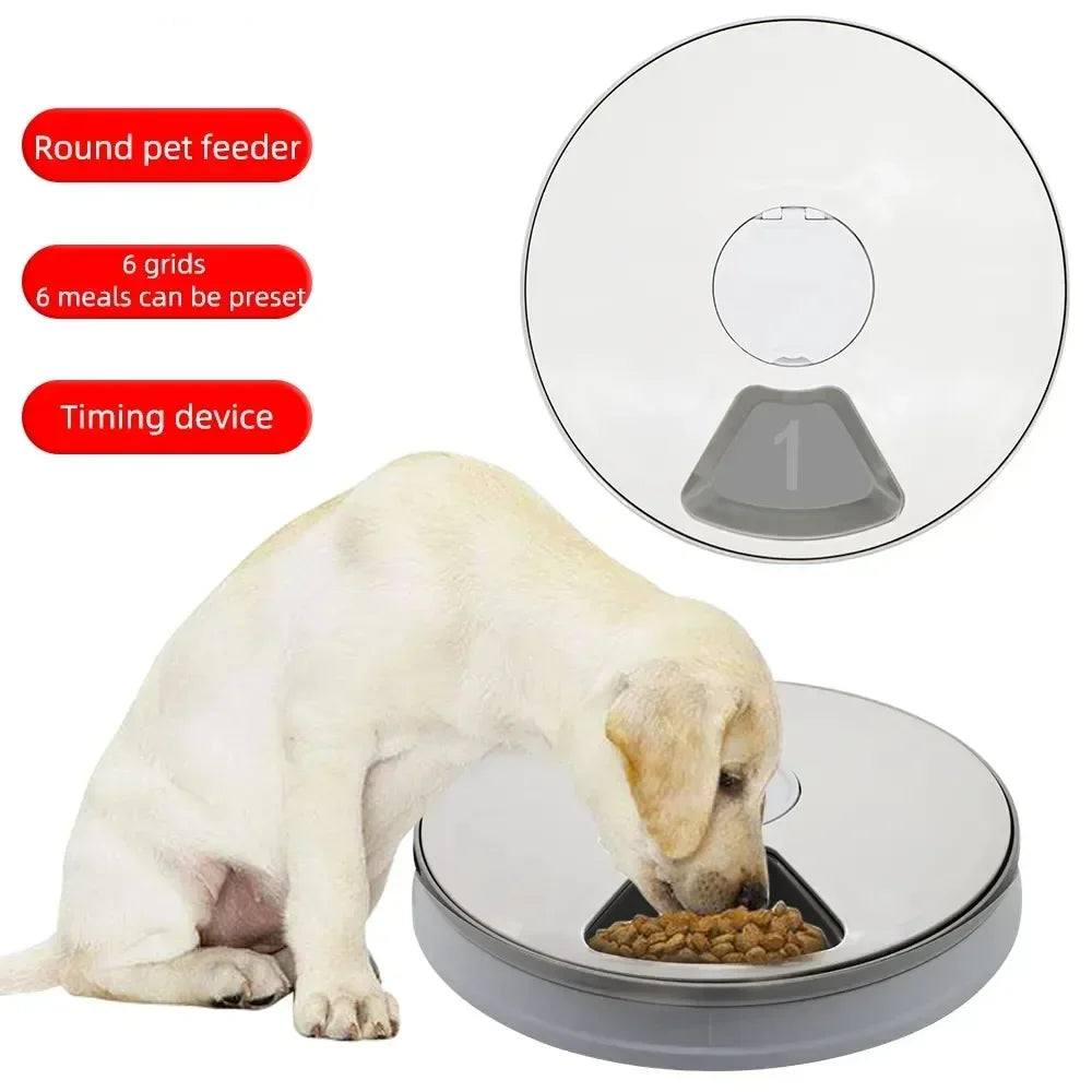 24H Automatic Pet Feeder 🐶🐱⏰