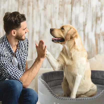 Ultra-soft luxury dog beds and kennels – pet beds – plush, resistant to biting, dirt-proof, with the highest level of comfort