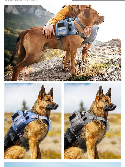 Tactical Dog Harness & Leash Set 🐕🛡️