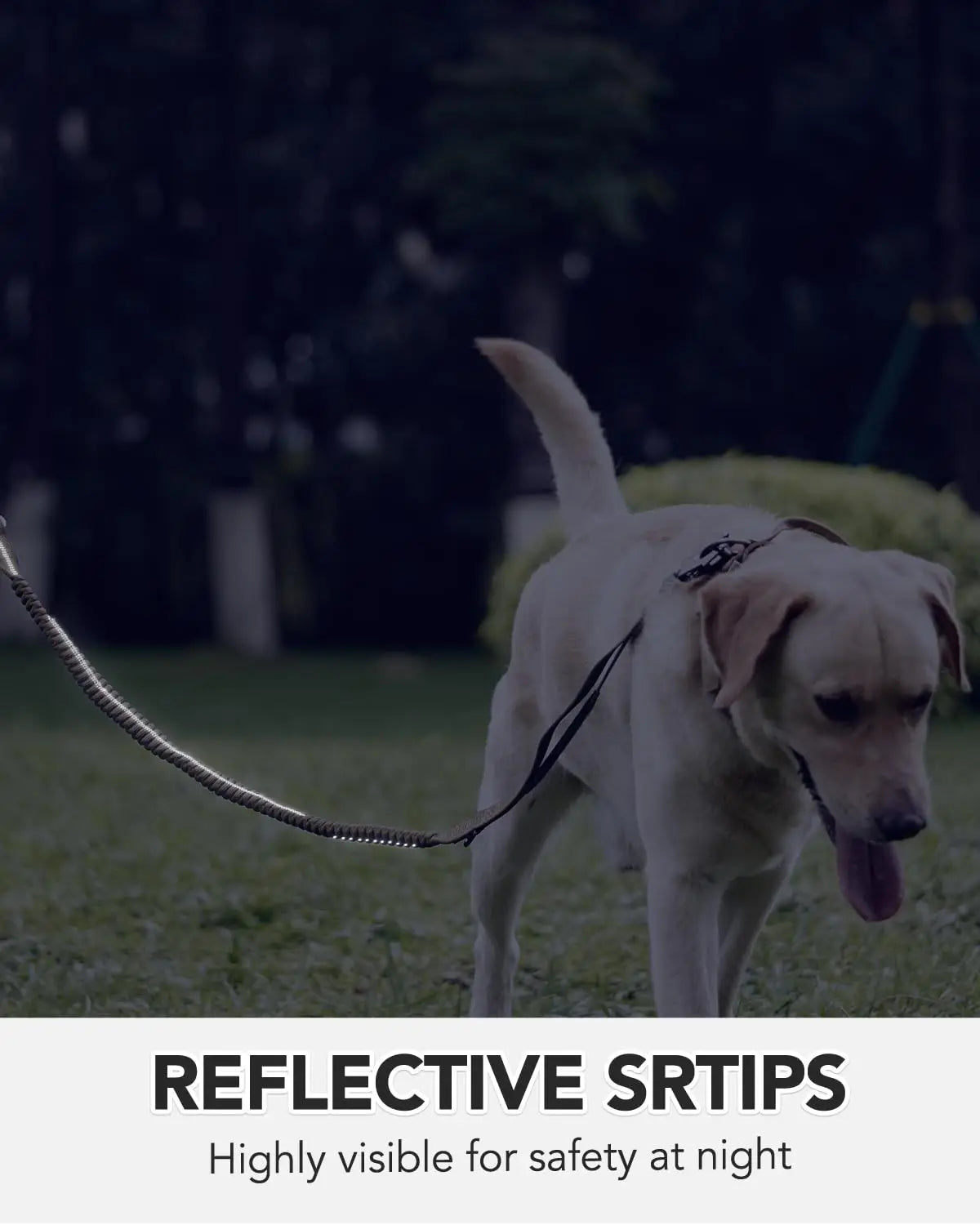 Military-Grade Tactical Dog Collar with Handle Heavy Duty Collar for Medium and Large Dogs Provides Ultimate Control