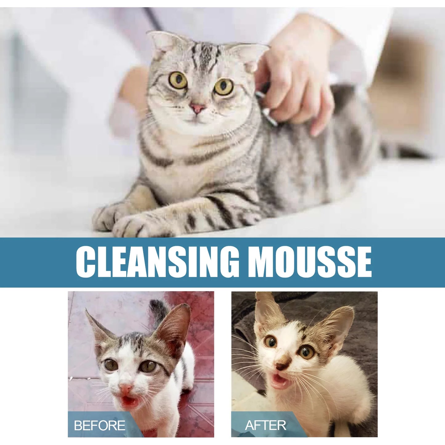 Pet Dry Shampoo Foam 🐶🐱🧴