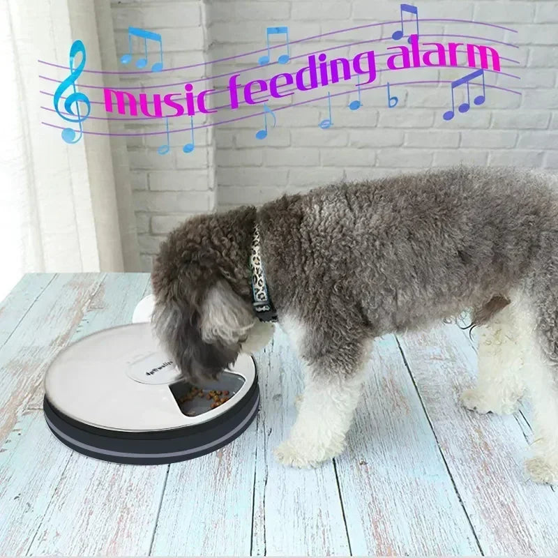 24H Automatic Pet Feeder 🐶🐱⏰