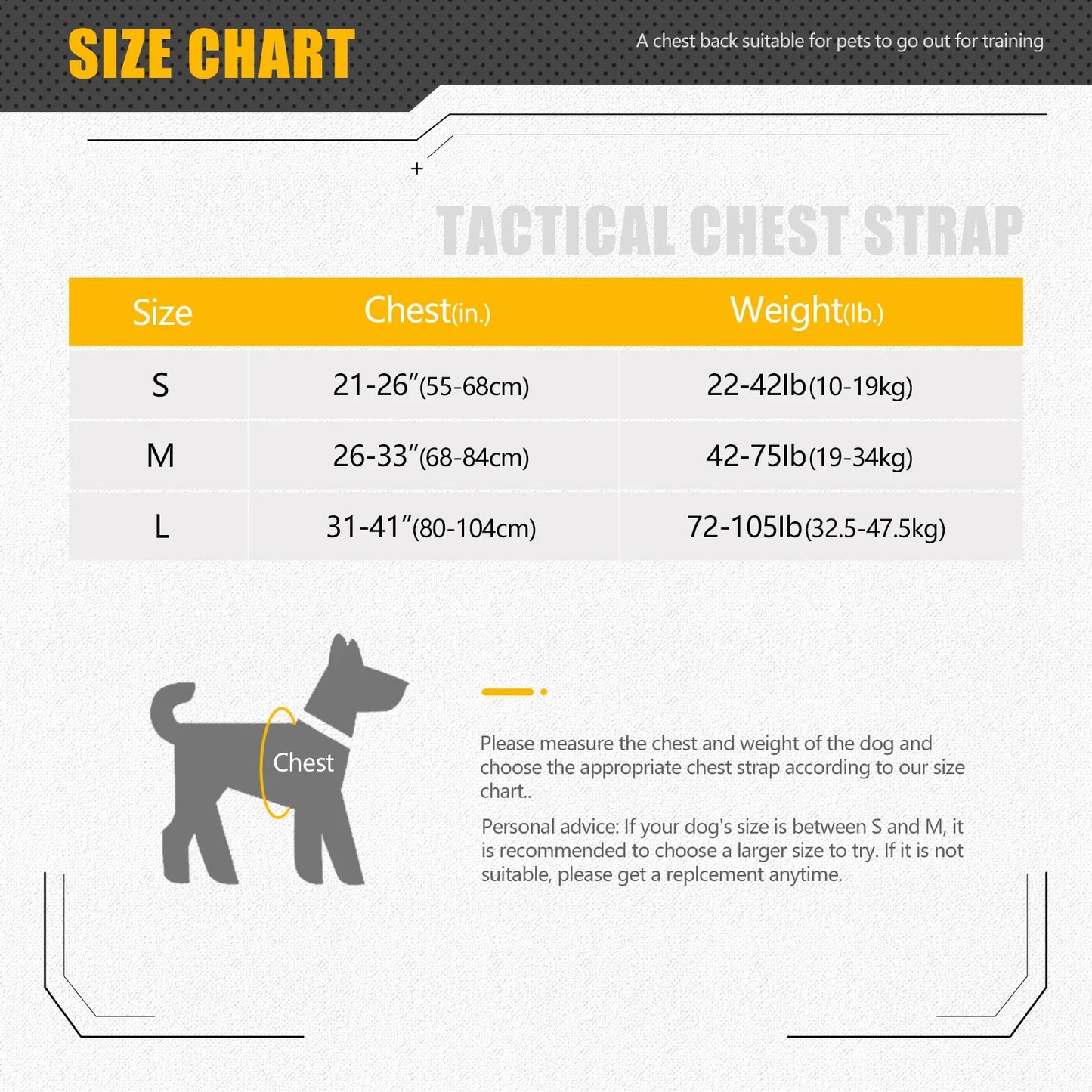 Tactical Dog Harness & Leash Set 🐕🛡️