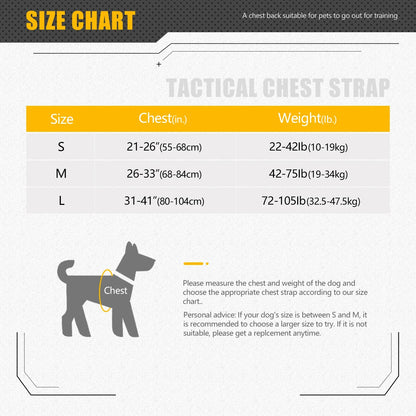 Tactical Dog Harness & Leash Set 🐕🛡️