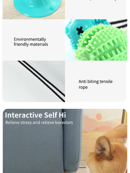 Interactive Treat & Sound Dog Toy 🐶🎾