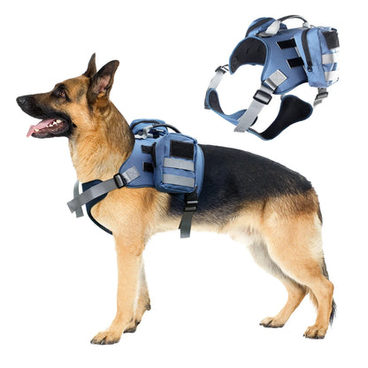 Tactical Dog Harness & Leash Set 🐕🛡️