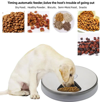 24H Automatic Pet Feeder 🐶🐱⏰