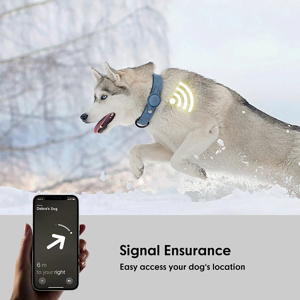 PU Leather Collar for Dogs Soft PU Leather Padded Dogs Collar With GPS Tracker Case Adjustable Small Medium Dogs Collars