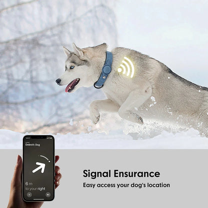 PU Leather Collar for Dogs Soft PU Leather Padded Dogs Collar With GPS Tracker Case Adjustable Small Medium Dogs Collars