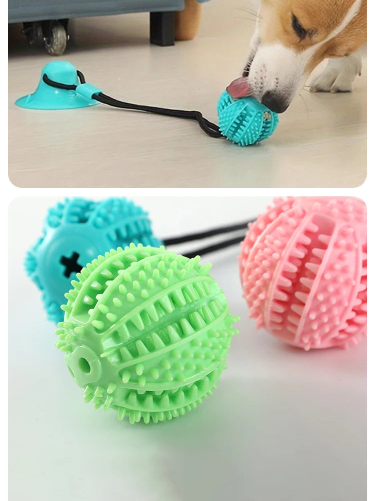 Interactive Treat & Sound Dog Toy 🐶🎾