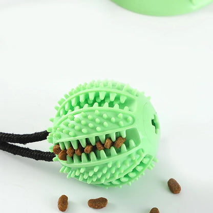 Interactive Treat & Sound Dog Toy 🐶🎾