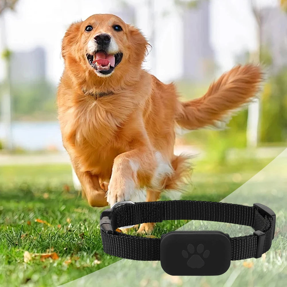 Pet Tracking Collar for Cats Kitten GPS Collar Safety Protection Long-Lasting Battery Pet Cat Locate Supplies Gps Cat dog Collar