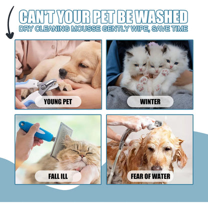 Pet Dry Shampoo Foam 🐶🐱🧴