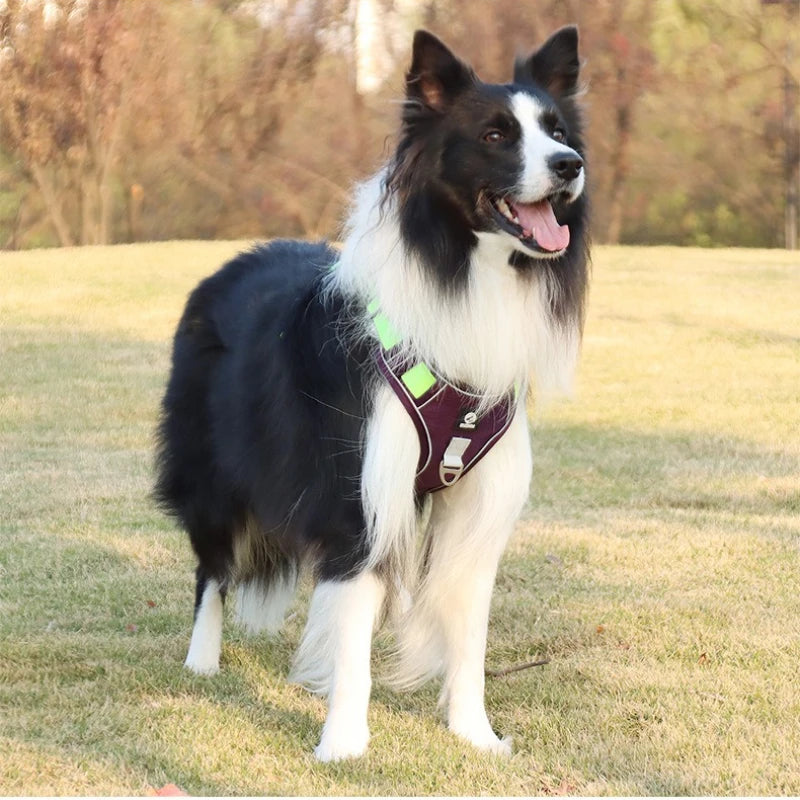 No Choke Dog Harness for Large Dogs No Pull Service Dog Vest with Reflective Strips and Control Handle Adjustable Comfortable