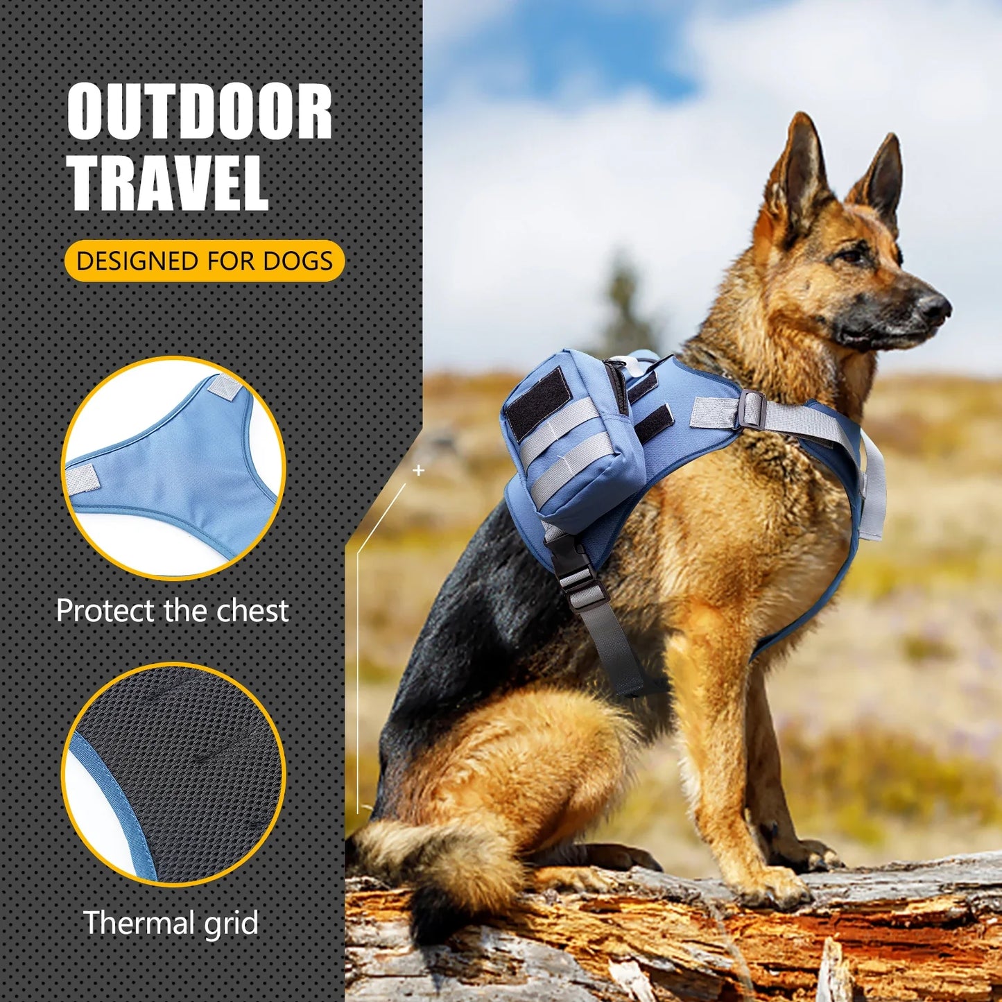 Tactical Dog Harness & Leash Set 🐕🛡️