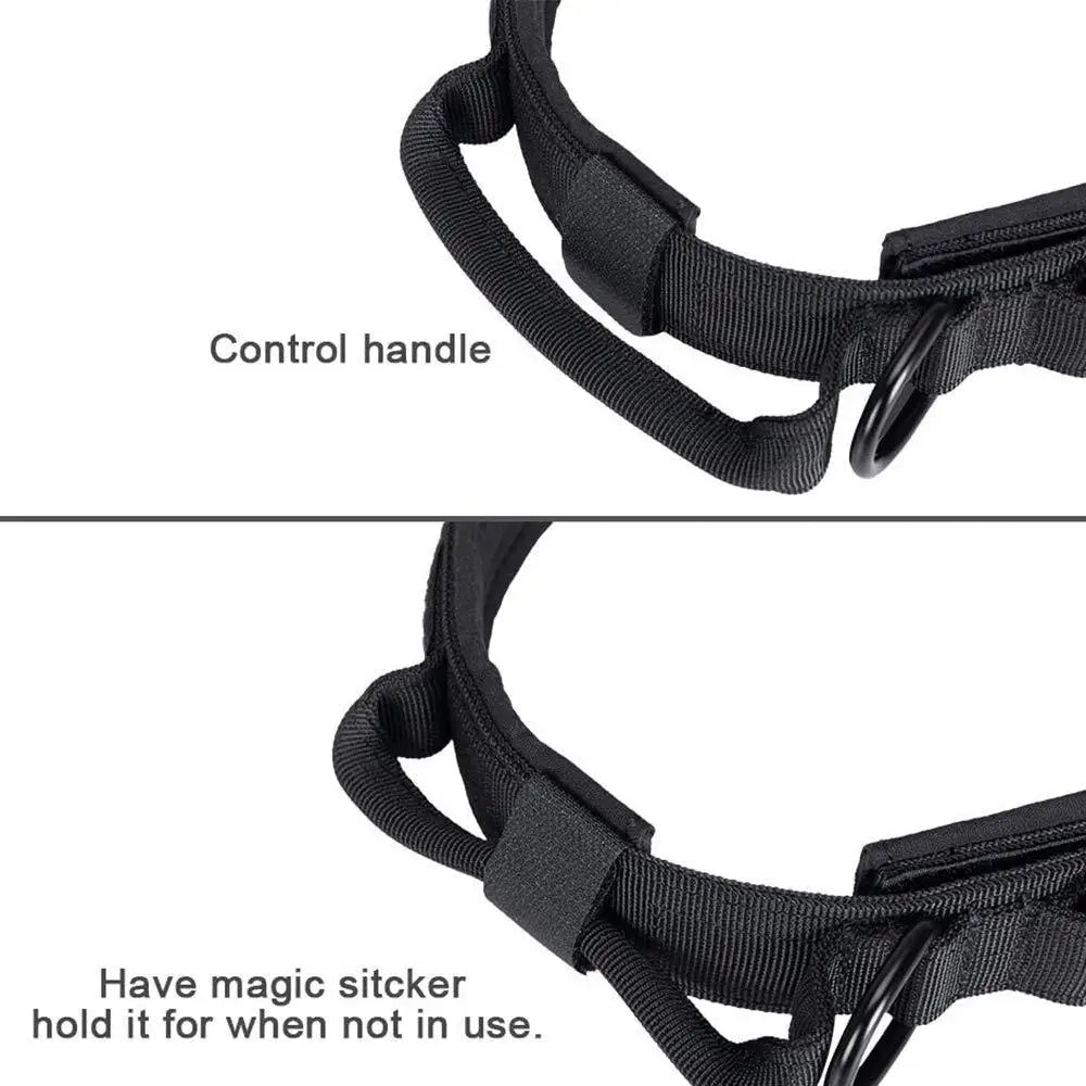 Tactical Nylon Dog Collar & Muzzle 🐕🛡️ k