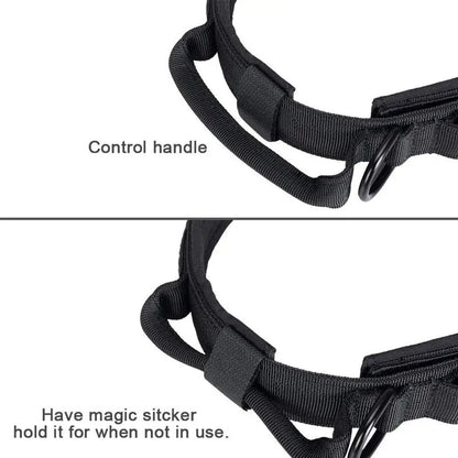 Tactical Nylon Dog Collar & Muzzle 🐕🛡️ k