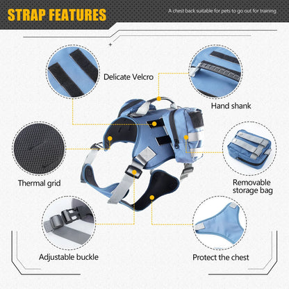 Tactical Dog Harness & Leash Set 🐕🛡️