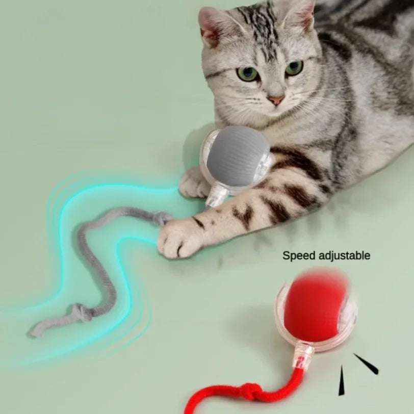 Smart Interactive Cat Ball Toy
