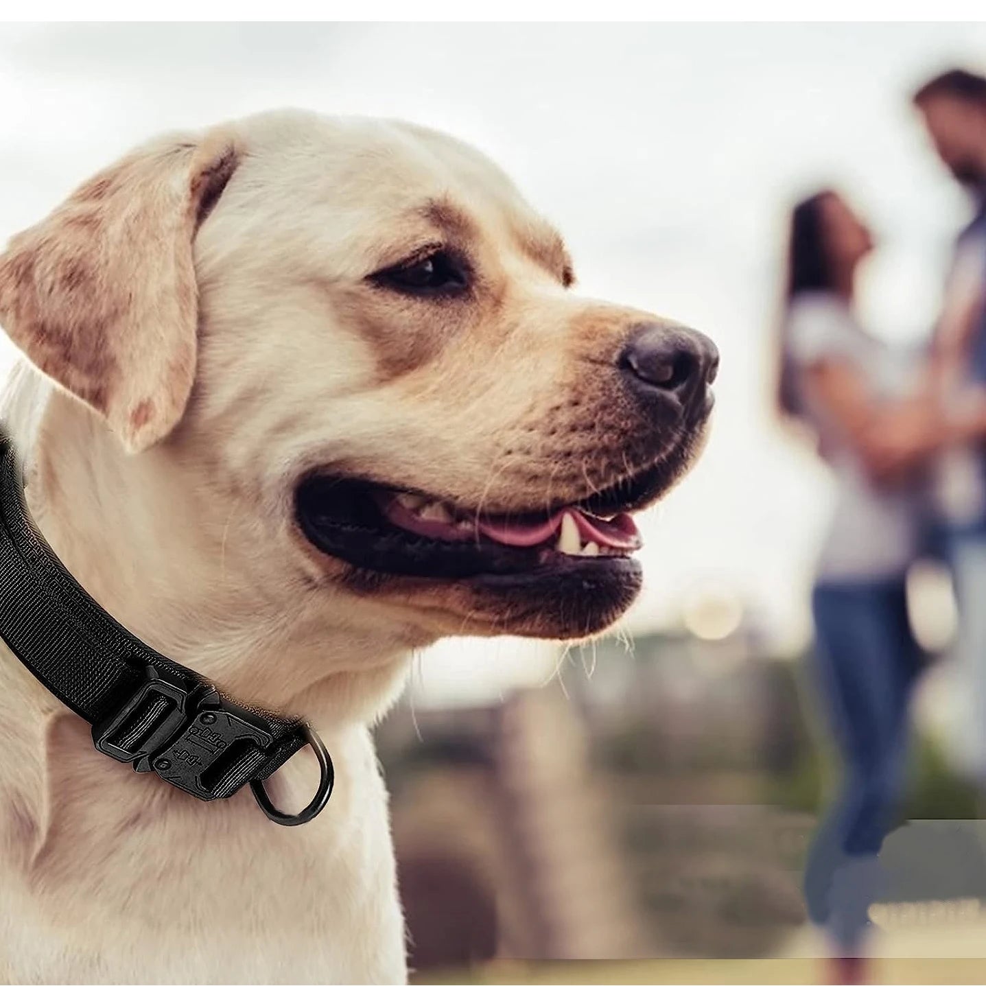 Tactical Dog Collar, Suitable for Medium to Large Dogs. Adjustable Military Training Nylon Dog Collar with Control Handle and Heavy Metal Buckle