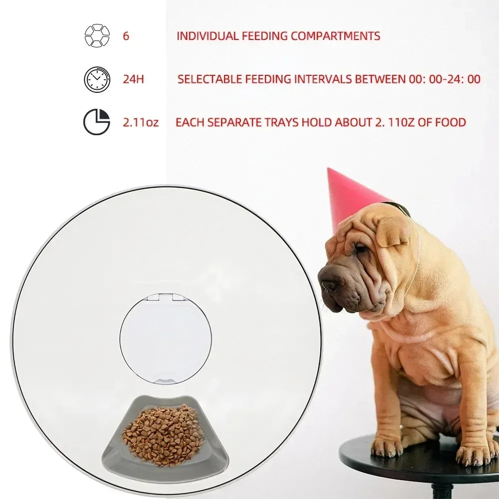24H Automatic Pet Feeder 🐶🐱⏰