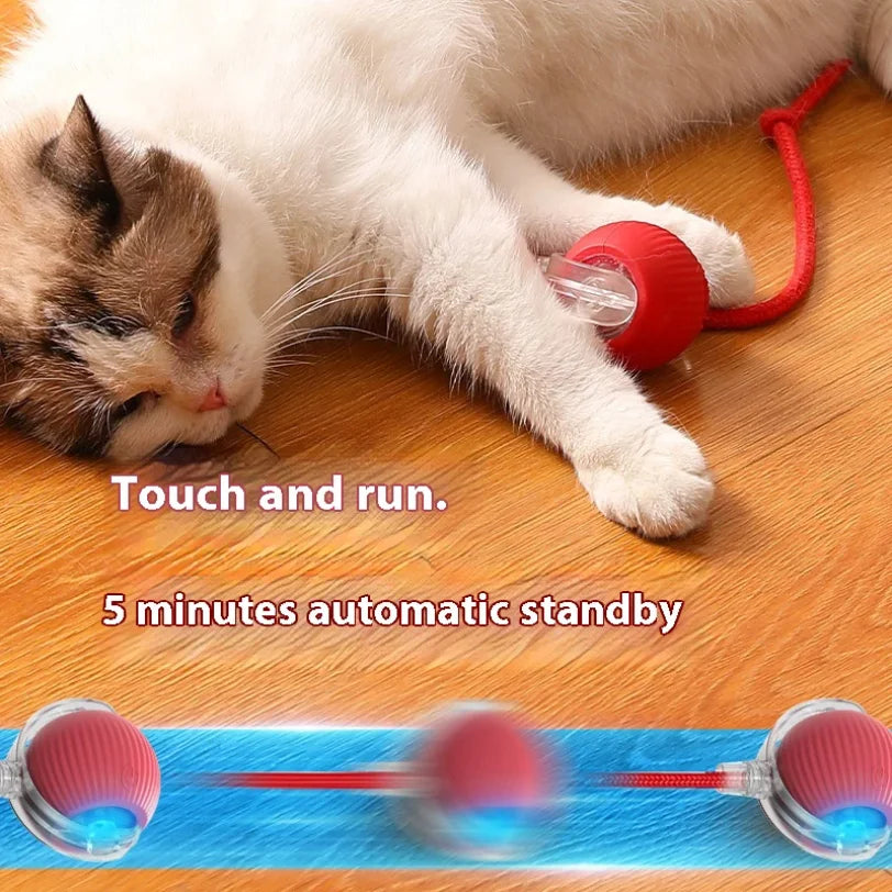 Smart Interactive Cat Ball Toy