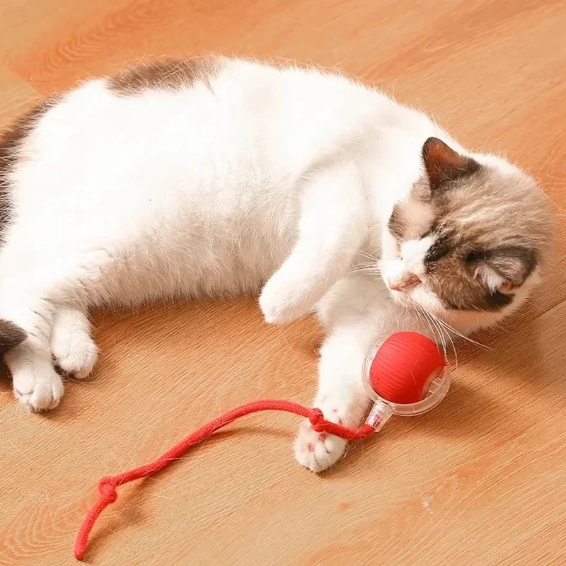 Smart Interactive Cat Ball Toy