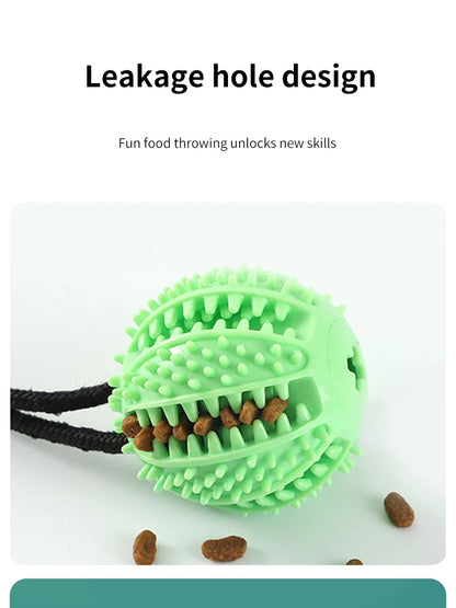 Interactive Treat & Sound Dog Toy 🐶🎾