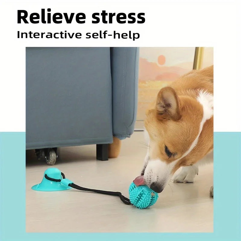 Interactive Treat & Sound Dog Toy 🐶🎾