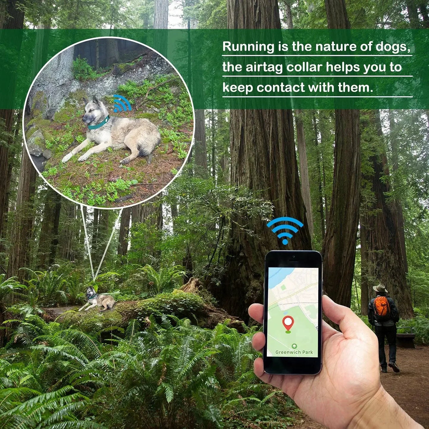 Waterproof GPS Dog Collar with AirTag Holder 🐕📍