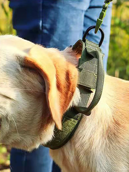 Tactical Nylon Dog Collar & Muzzle 🐕🛡️ k