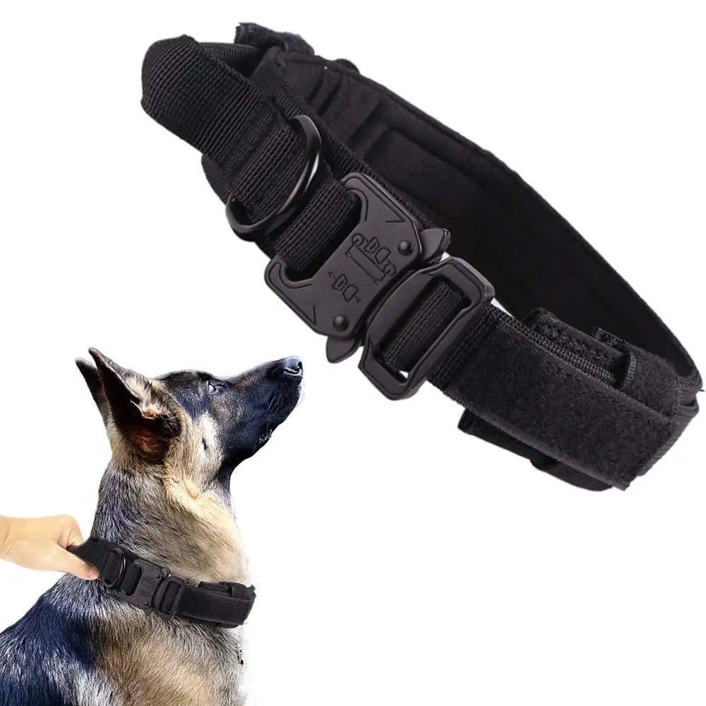 Tactical Nylon Dog Collar & Muzzle 🐕🛡️ k