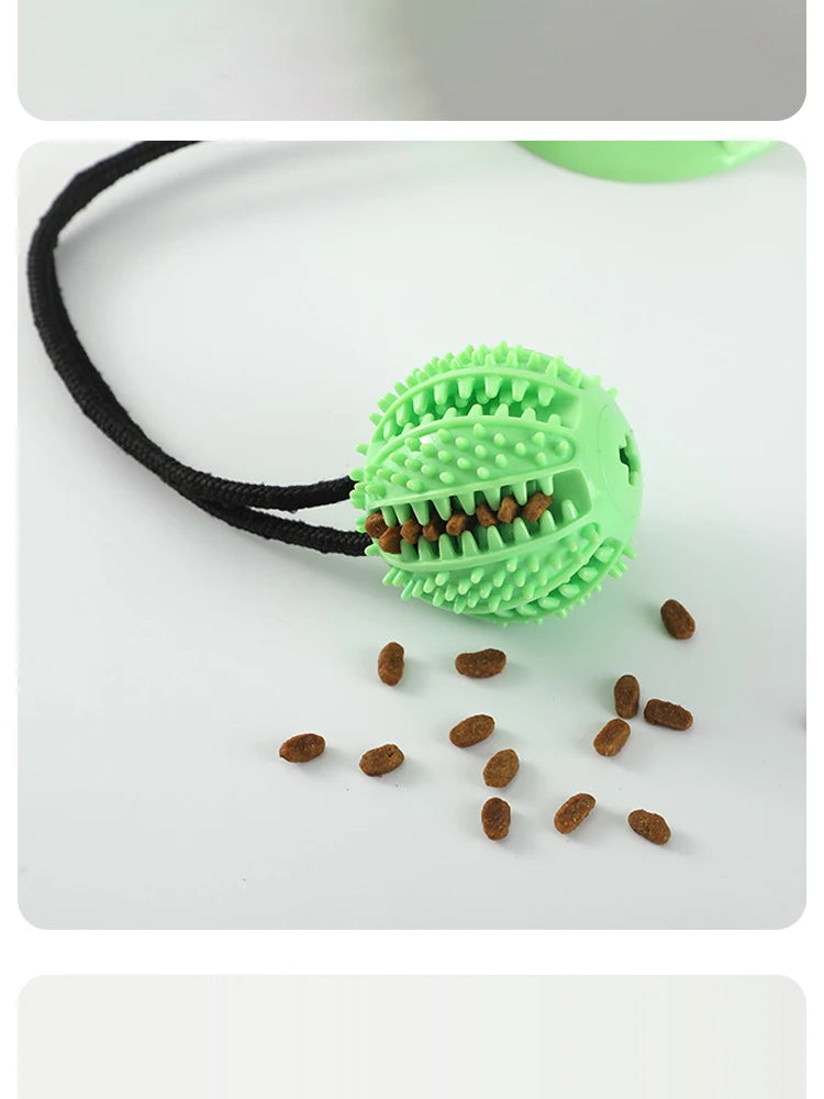 Interactive Treat & Sound Dog Toy 🐶🎾