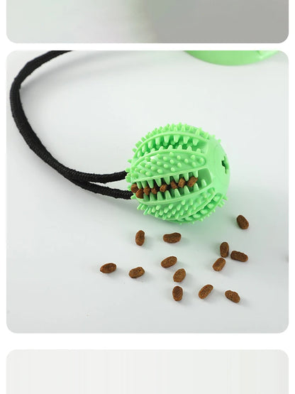 Interactive Treat & Sound Dog Toy 🐶🎾