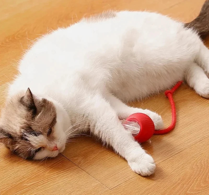 Smart Interactive Cat Ball Toy